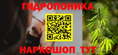 соль ск Рузаевка