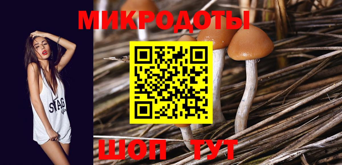 Галлюциногенные грибы мицелий Санкт-Петербург