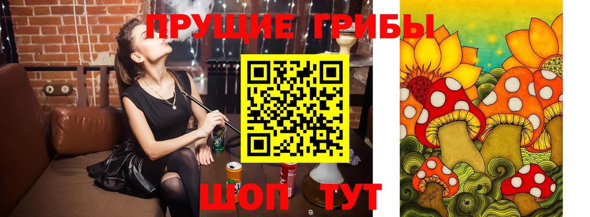 Псилоцибиновые грибы прущие грибы  Вход с VPN  Санкт-Петербург  Псилоцибиновые грибы Magic Shrooms 